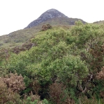 Diamond Hill Connemara Nationalpark